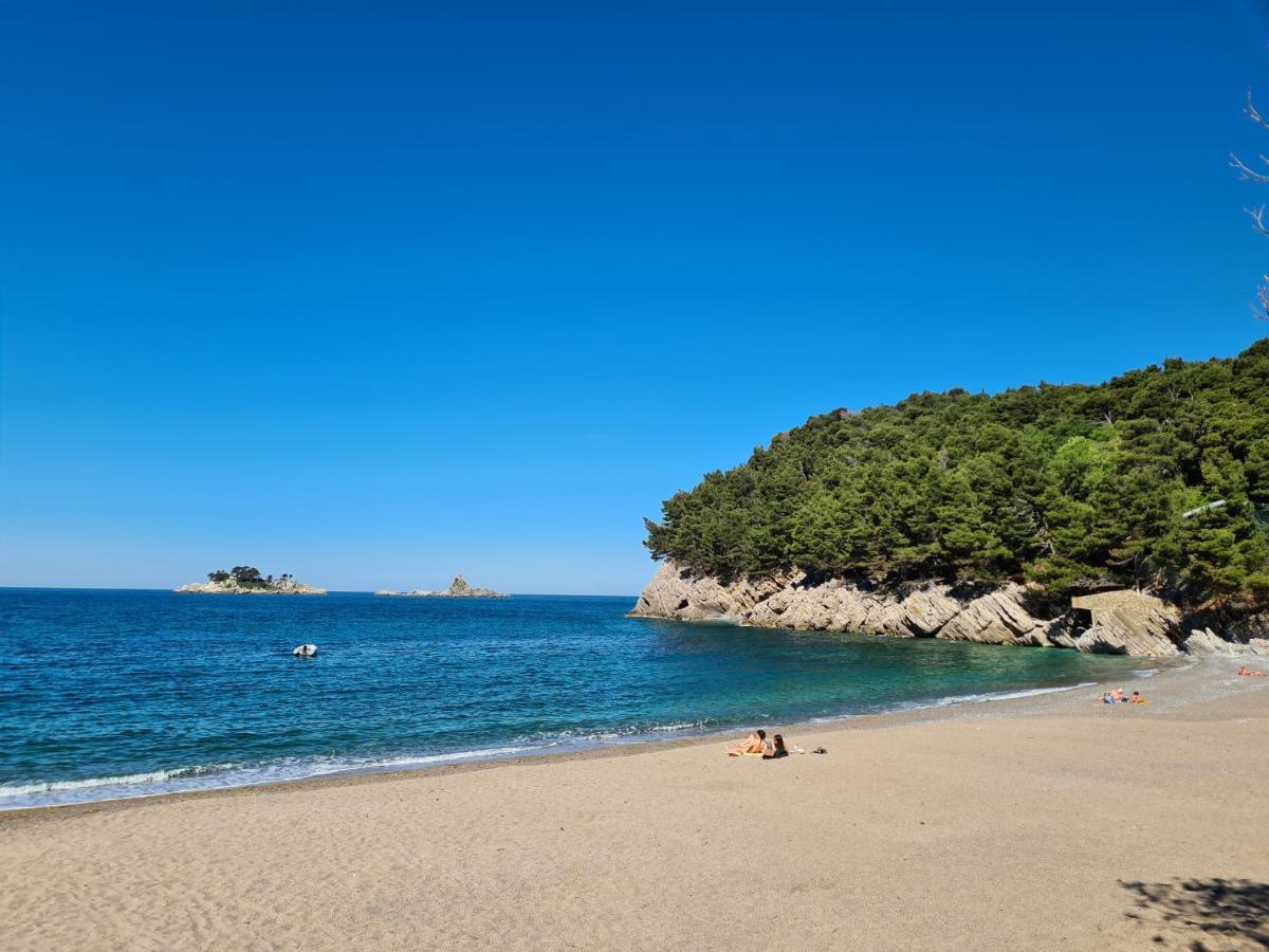 Palm Point Apartment Petrovac Ngoại thất bức ảnh